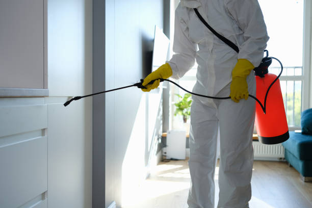 Certified Mold Removal in Lebanon, MO