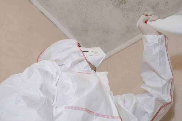 Best Certified Mold Removal  in Lebanon, MO
